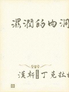 湿润的肉洞