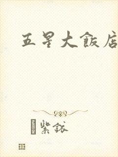 五星大饭店小说