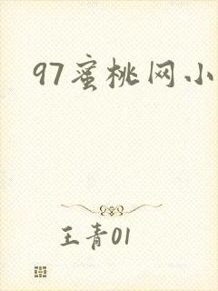 97蜜桃网小说