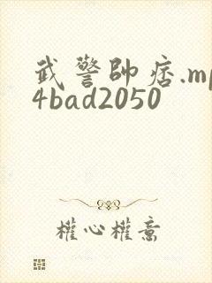 武警帅痞.mp4bad2050