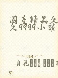 国产精品久久久久9999小说