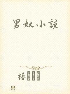 男奴小说