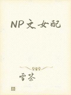 NP文女配