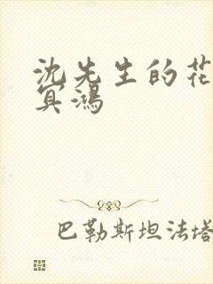 沈先生的花式调冥鸿