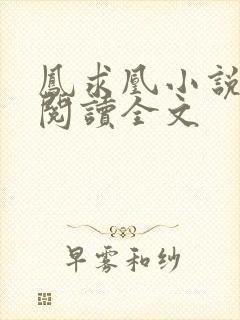 凤求凰小说免费阅读全文