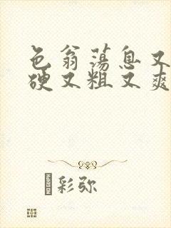 色翁荡息又大又硬又粗又爽小莹