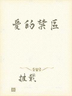 爱的禁区