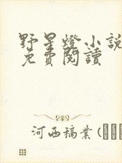 野星灯小说全文免费阅读