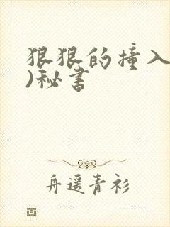 狠狠的撞入(h)秘书