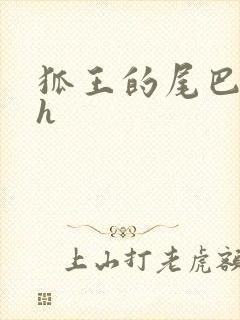 狐王的尾巴高ah