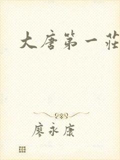大唐第一庄