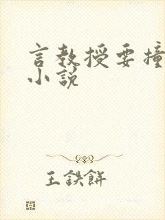 言教授要撞坏了小说