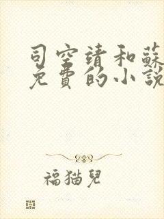 司空靖和苏月汐免费的小说笔趣阁