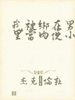 我被绑在男公厕里当肉便小说