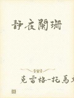静夜阑珊