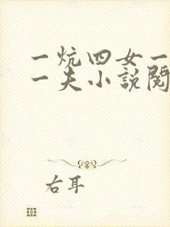 一炕四女一共侍一夫小说阅读