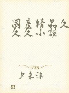 国产精品久久久久久小说