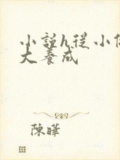 小说h从小做到大养成