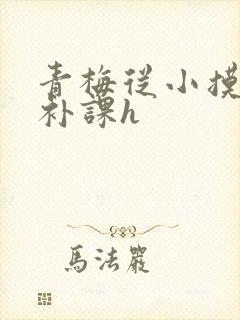 青梅从小摸到大补课h