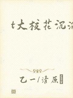 t大校花沉沦