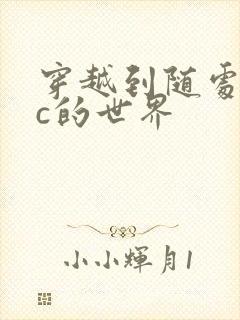 穿越到随处可以c的世界