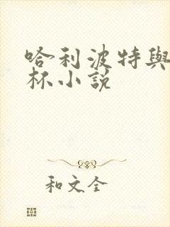 哈利波特与火焰杯小说