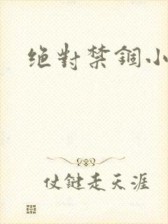 绝对禁锢小说