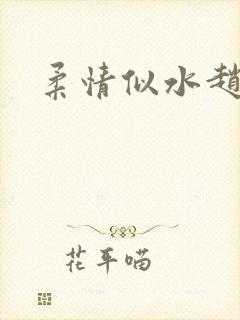 柔情似水赵雅儿