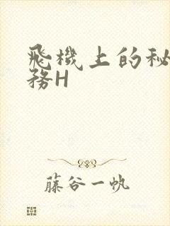 飞机上的秘密服务H