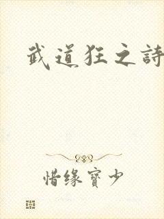 武道狂之诗