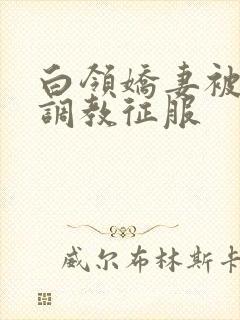 白领娇妻被老板调教征服