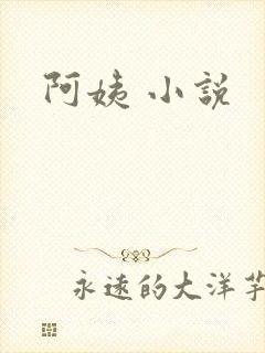 阿姨 小说