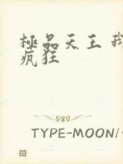 极品天王 我本疯狂