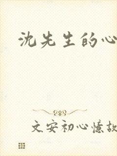 沈先生的心头宝