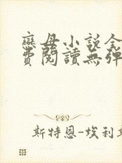 恋母小说全文免费阅读无弹窗笔趣阁