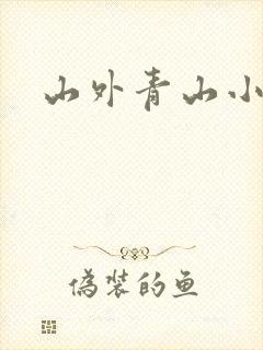 山外青山小说