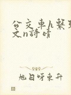 公交车h系列辣文n诗晴