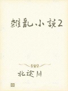 杂乱小说2