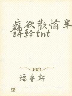 瘾欲欢愉半块小饼干tnt