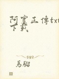 阿宾正传txt下载