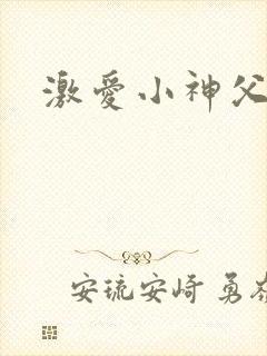 激爱小神父