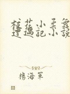 校花小柔舞蹈室遭遇记小说