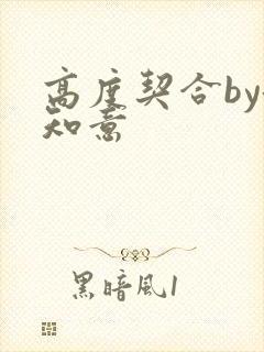 高度契合by洛知意