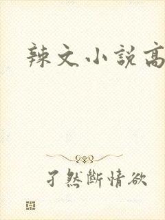 辣文小说高h