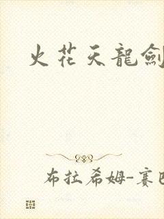 火花天龙剑