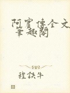 阿宾传全文阅读 笔趣阁