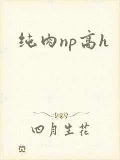 纯肉np高h