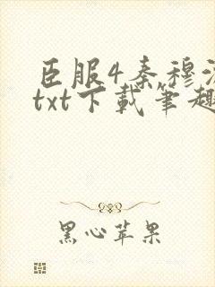 臣服4秦穆沈流txt下载笔趣阁