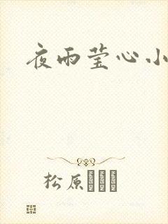 夜雨莹心小说