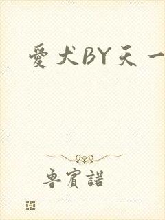爱犬BY天一
